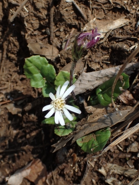 P3210558 Z{m.JPG