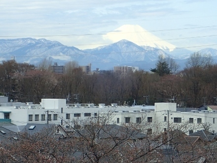P3231654 (440x330).jpg