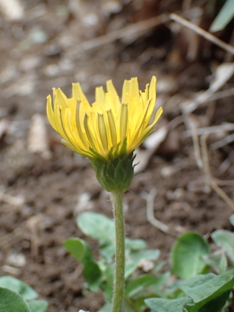 P3240578 JgE^||m.JPG
