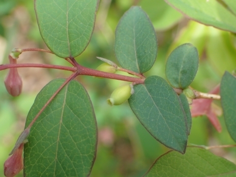 P3280626 EOCXJOm.JPG
