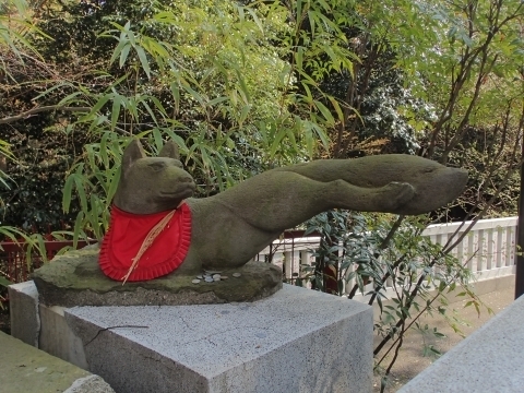 P3300871   ς񂽂m.JPG