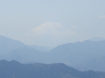 P3312133 (440x330).jpg