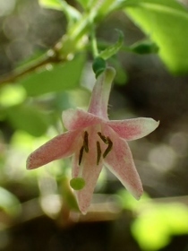 P3312256 (210x280).jpg