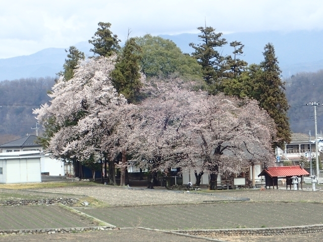 P4020898 cA_ml.JPG