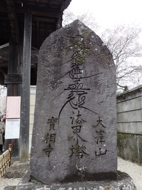 P4020919 m.JPG