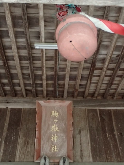 P4020965 Ԑ_ Gz.JPG