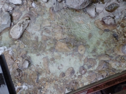 P4031023 kJ ݋m.JPG
