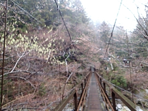 P4031028 kJ ݋m.JPG