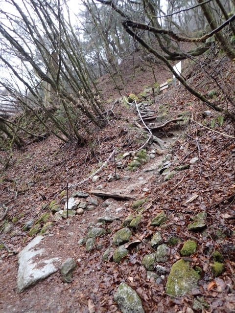 P4031034 kJ Ăm.JPG