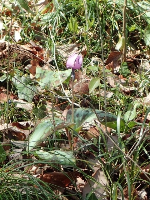 P4041123 J^Nm.JPG