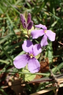 P4043921 (207x310).jpg