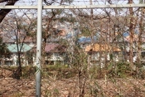 P4043945 (210x140).jpg