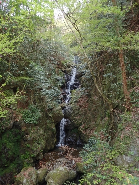 P4062473茅倉の滝 (443x590).jpg