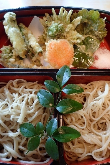 P4184164 (373x560).jpg