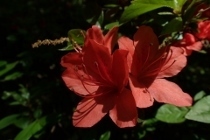 P4254271 (210x140).jpg
