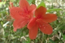 P4254272 (210x140).jpg