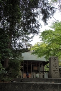 P4270428自凝島神社 (207x310).jpg