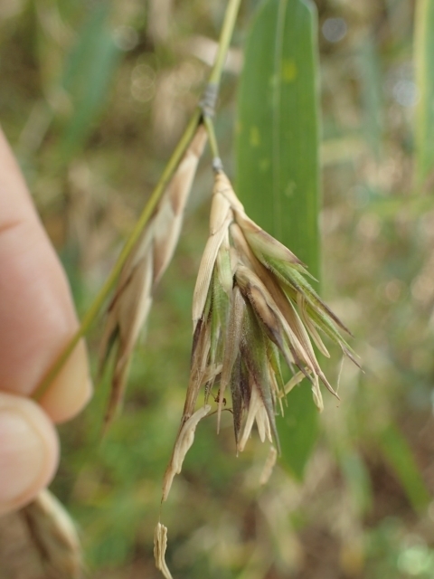 P4291600 n`N@m.JPG