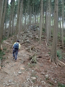 P5021477岩茸山 登り (210x280).jpg