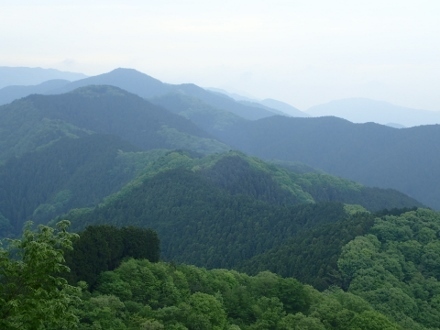 P5021483岩茸山からの眺望 (440x330).jpg