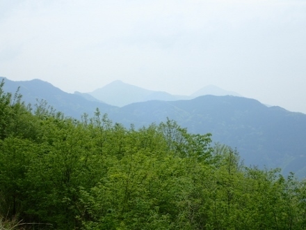 P5021520棒ノ折からの眺望 (440x330).jpg