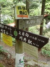 P5021564 (210x280).jpg