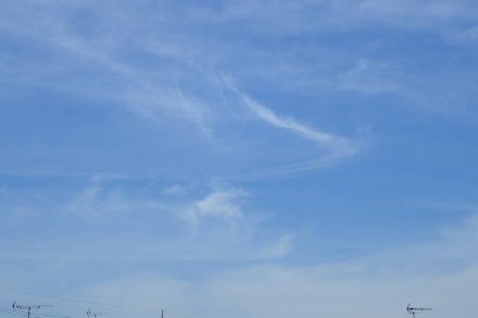 P5034647 (440x293).jpg