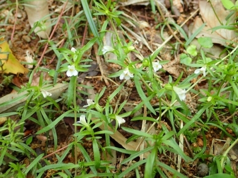 P5041858 N`iVOTm.JPG