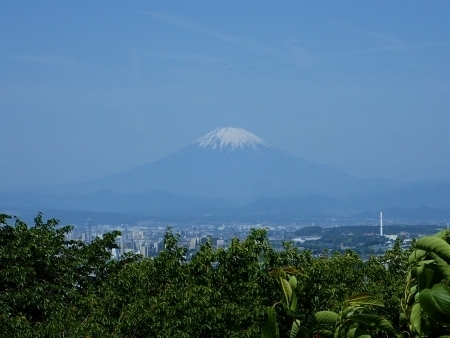 P5055551 (2) 六国見山 富士山m.jpg