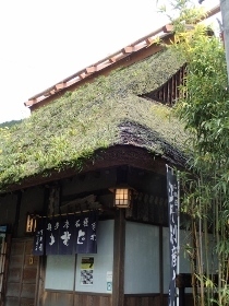 P5101769 (210x280).jpg