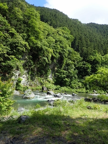 P5101774 (443x590).jpg