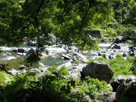 P5101777御岳渓谷 (440x330).jpg