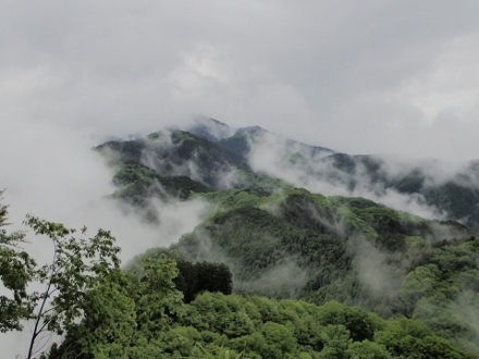 P5101814 (440x330).jpg