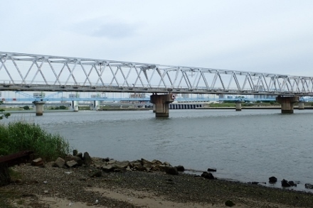 P5154690 (440x293).jpg