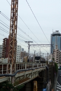 P5154725 (207x310).jpg