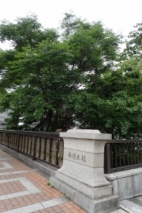 P5164767 (207x310).jpg