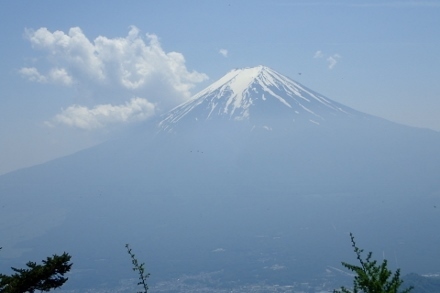 P5305113 (440x293).jpg