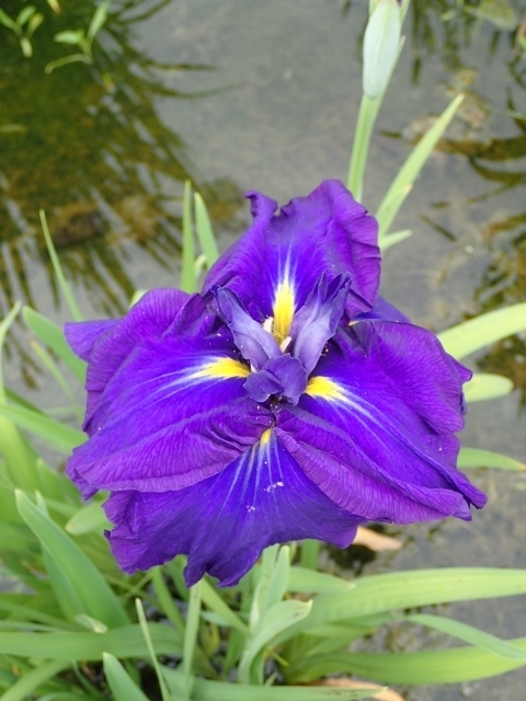 P6082387kR niVEu m.JPG