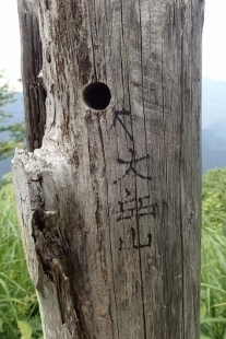 P6155431 (207x310).jpg