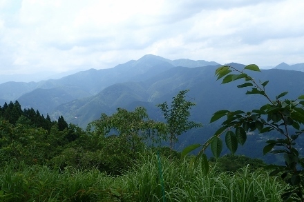 P6155433 (440x293).jpg