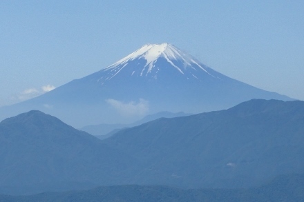 P6195551 (440x293).jpg