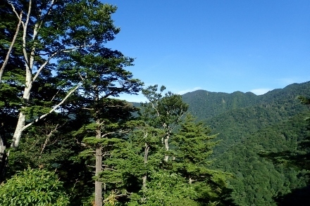 P8076093 (440x293).jpg