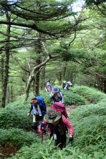 P8076111 (207x310).jpg