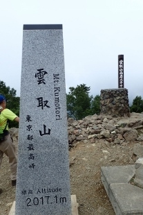 P8076120 (207x310).jpg