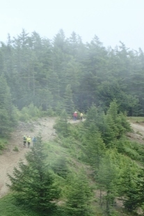 P8076130 (207x310).jpg