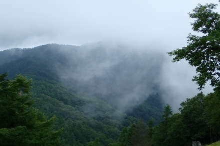 P8076147 (440x293).jpg