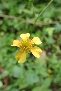 P8186198 (207x310).jpg