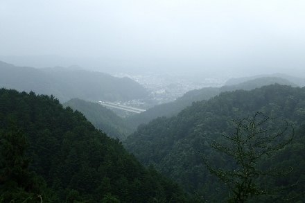 P8186202 (440x293).jpg