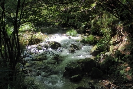 P9012564 (440x293).jpg