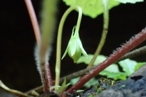 P9012572 (210x140).jpg